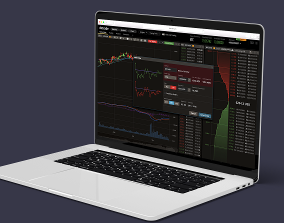 Bir Türk Şirketi için Spot Kriptopara Alım-Satım Platformu Geliştirilmesi